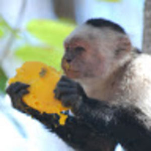 Meet your Posher, Mackenzie